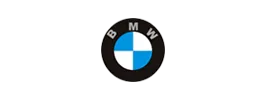 Lubricantes para BMW